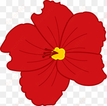 red hibiscus - hawaiian hibiscus