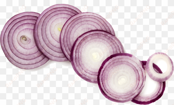 Red Onion - Onion Sliced Transparent Png transparent png image
