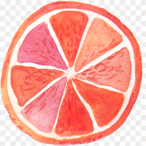 red painted style grapefruit transparent - brayden studio orange beach towel
