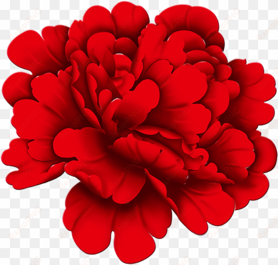 red peony flowers 1600*1761 transprent png free download - red peony fabric china png