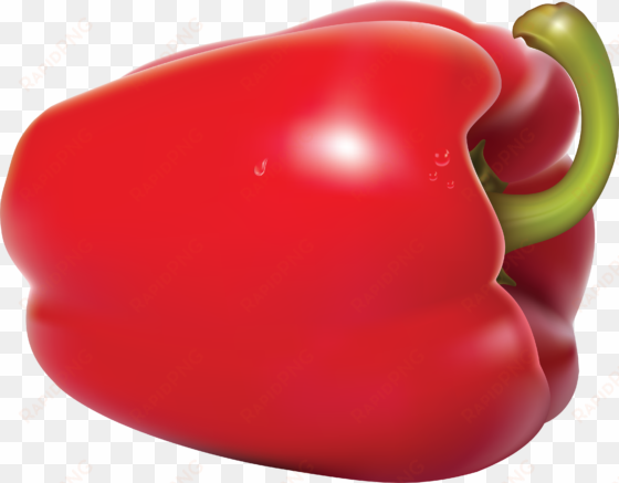 red pepper png image - red bell peppers png