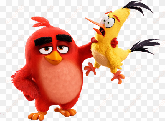 red pinterest bird and movie the chuck - red and chuck angry birds
