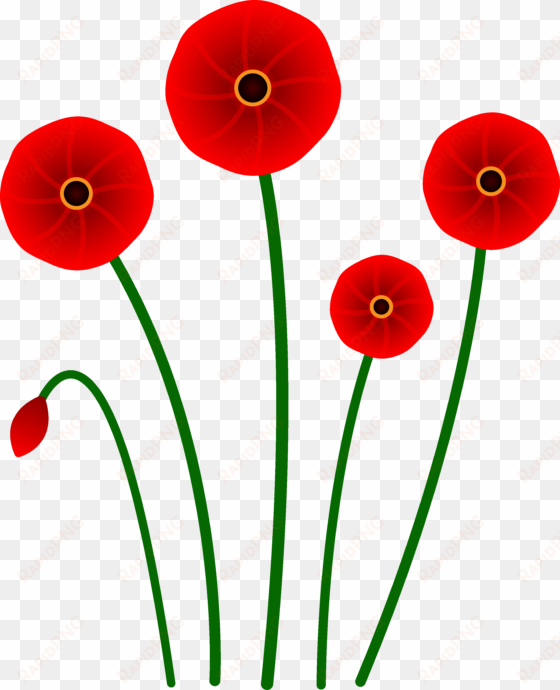 red poppy flowers - poppy flower clip art