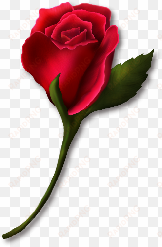 Red Rose Bud Painted Clipart - Rose Bud Clip Art transparent png image