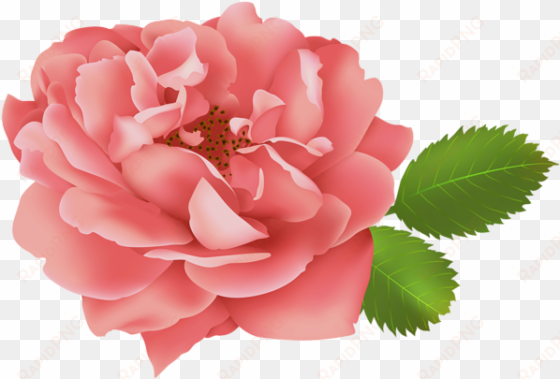 red rose flower bush clip art image gallery yopriceville - clip art
