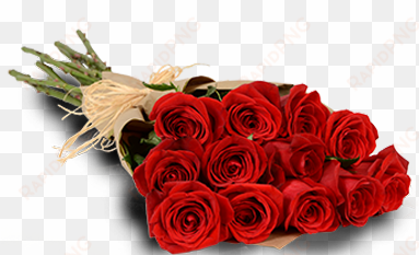 red roses - 1 dozen of roses