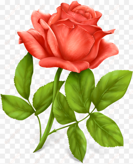 Red Roses Png Clipart Picture Only Roses Pinterest - Best Wishes Happy Married Life transparent png image