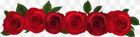 red roses png clipart - roses png