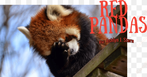 red, white - population of red pandas 2017