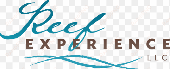 reef experience