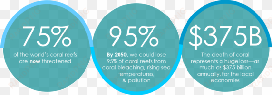 reefs around the world need help - 95% vegan weight loss solution: the world's first flexi...