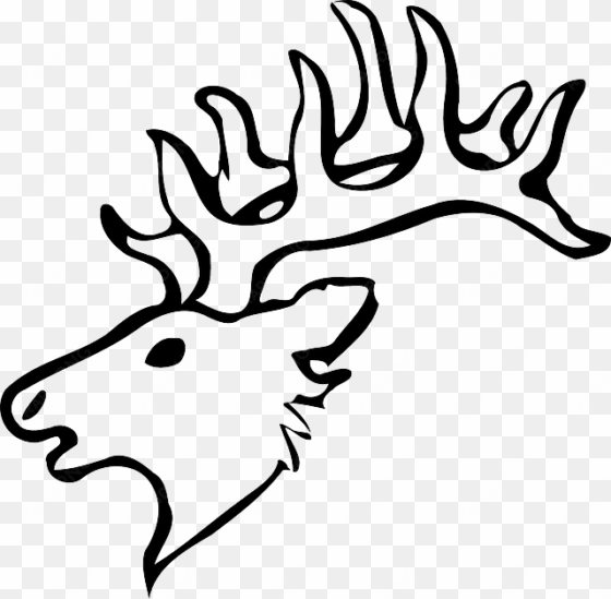 reindeer, head, black and white, horns, animal, mammal - deer drawing face easy