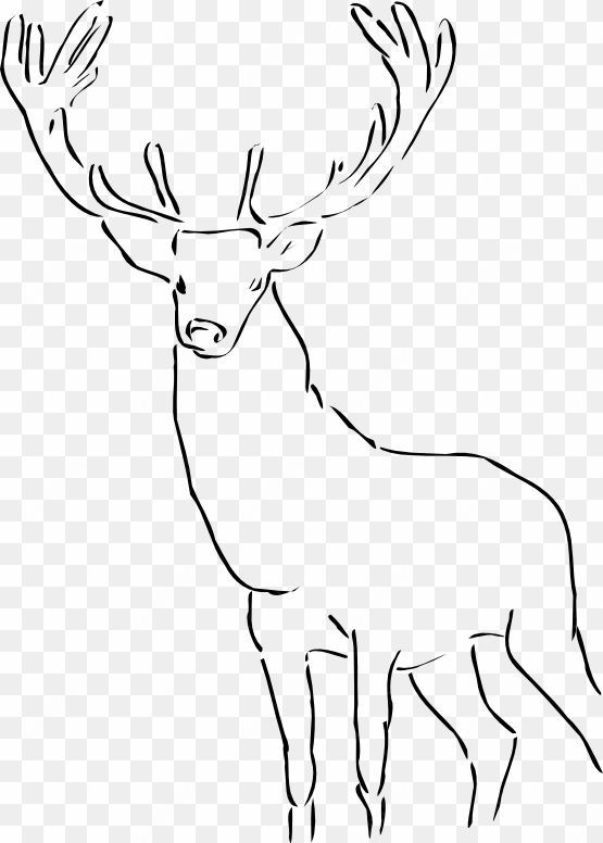 reindeer raindeer stag black white line animal-555px - outline of a stag