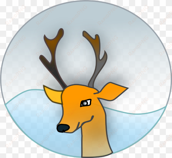 reindeer - reindeer window illustration transparent