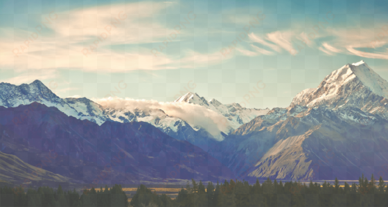 related - parallax wordpress theme