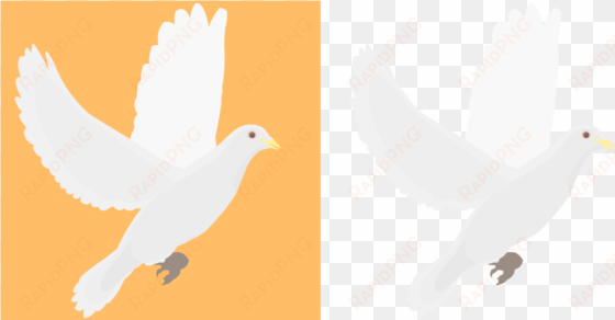 religious emblems doves clipart - white dove