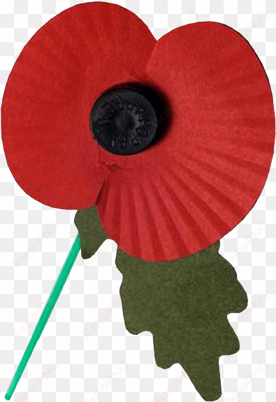 remembrance day poppy transparent image - remembrance poppy transparent background