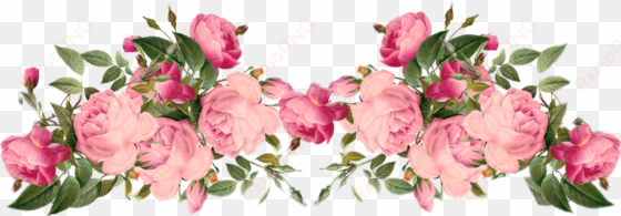 report abuse - flowers png