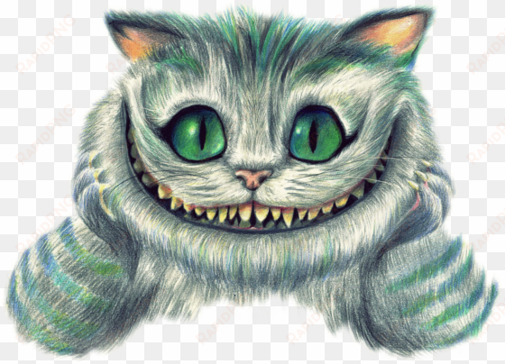 report abuse - mad hatter cheshire cat