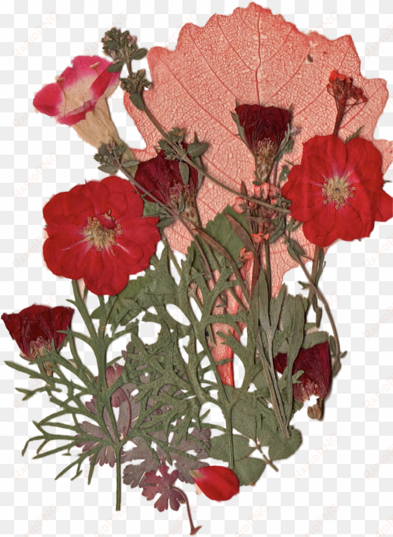 report abuse - red flowers tumblr png