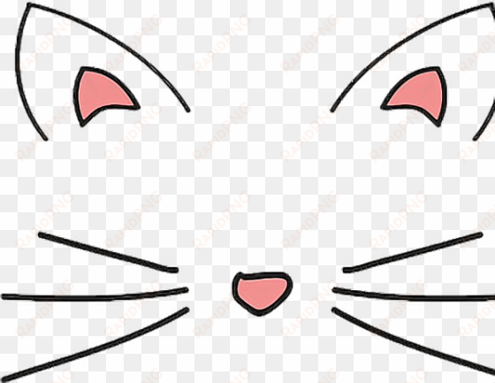 Report Abuse - Transparents Cat Ears And Whiskers transparent png image