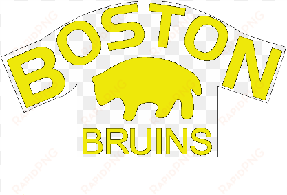 report - boston bruins