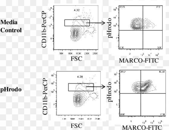 representative flow cytometry profile of marco upregulation - diagram