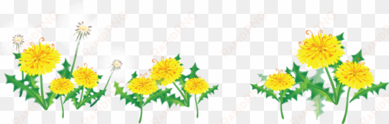 res] flower border by hanabell1 on clipart library - yellow flower border png