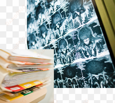 Researchers & Medical Institutions - University Of Southern California transparent png image
