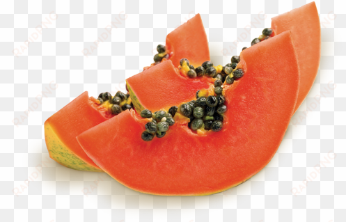 reser's foodservice papaya chunks - papaya