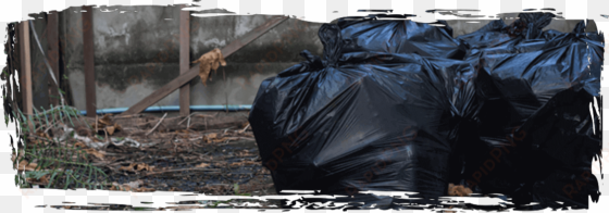 residential trash pick up services in grove city, pa - pennsylvania