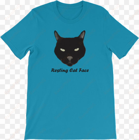 resting cat face t-shirt - thou shall not try me mood 24 7