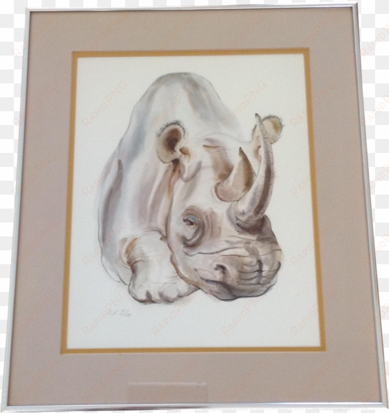 rhinoceros watercolor framed painting on chairish