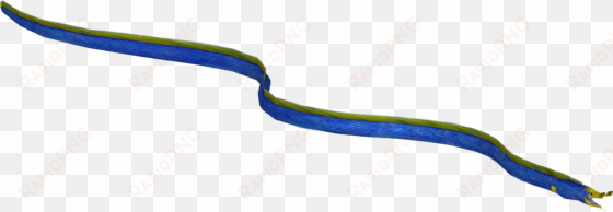 ribbon eel - grass snake