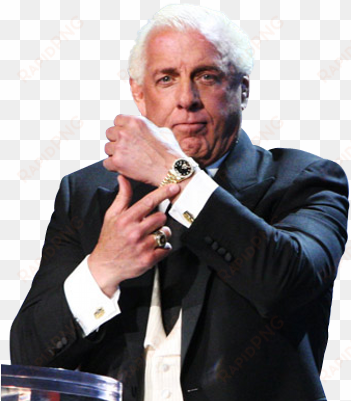 Ric Flair - Shawn Michaels Ric Flair Watch transparent png image