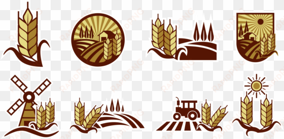 rice field vector labels - rice field logo