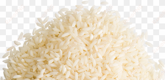 rice grains png