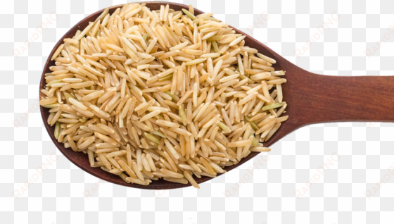 rice png image - brown rice png