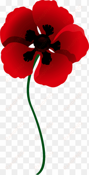 ride - red poppy