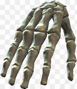 right hand bones - hand bones png