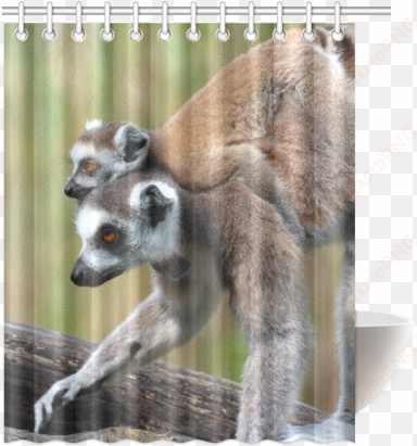 ring-tailed lemur catta katta mother and baby shower - 60"(width) x 72"(height) stylish fruit watermelon decorative