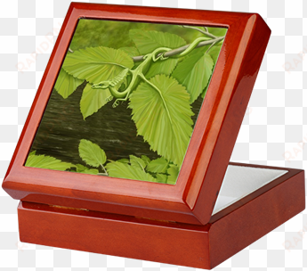 river birch leaf dragon keepsake box - earth leaf dragon curtains