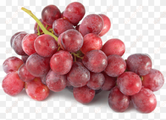 rna seq reveals how fungus reprograms wine grapes to - red grapes