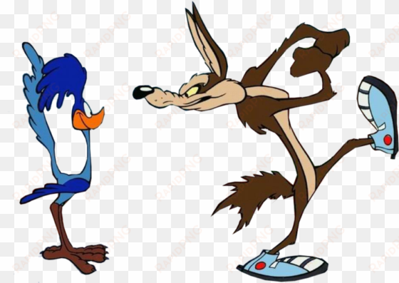 roadrunner clipart warner brothers - road runner wile e coyote png