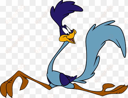 roadrunner3 - road runner cartoon