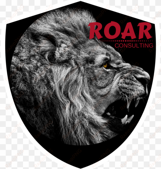 roar consulting inc - lions poster photo print 32x24