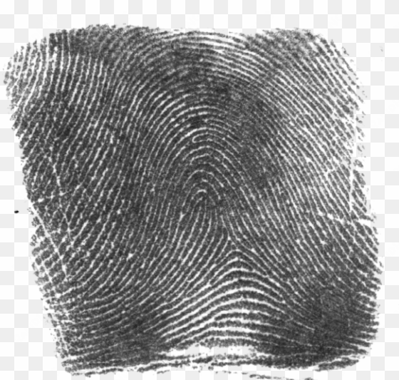 rolled fingerprint - ink fingerprint