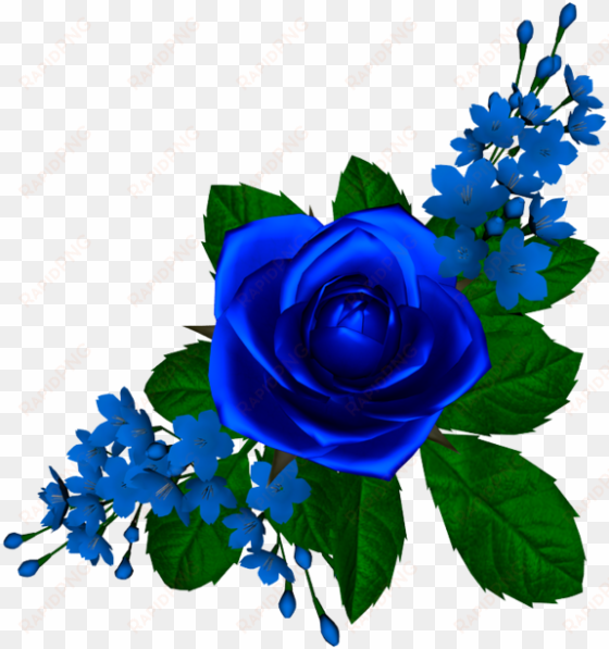 rosa azul - tube-flores - rosa azul png