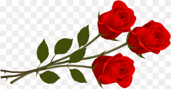 rosas en png - thank you rose flowers