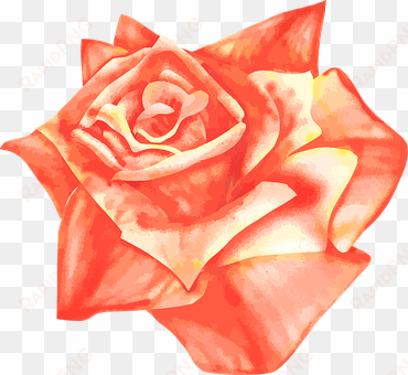 rose airbrush vector drawing orange red ye - rosa laranja desenho